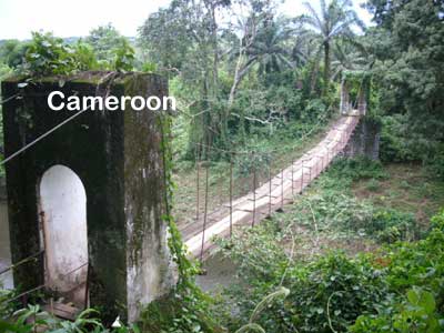 Tank Filter Adopter in cameroon