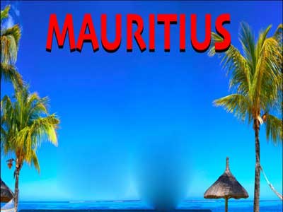 Suction Strainer Plastic Nut in mauritius