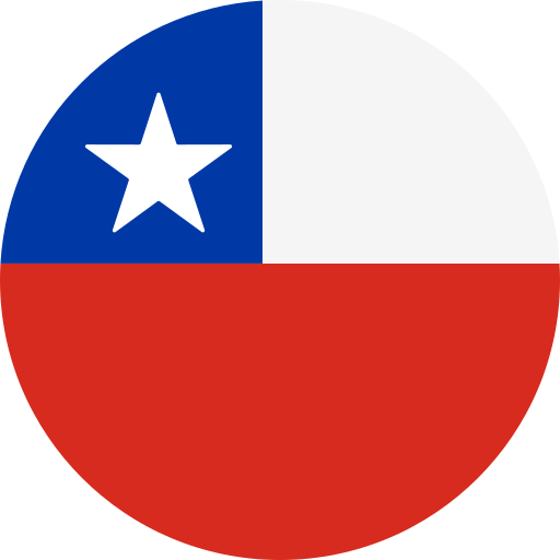 Suction Strainer in Chile